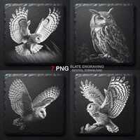 Owl Slate Engraving PNG Bundle &ndash; Flying, Barn Owls, Wildlife Art (Digital Download)