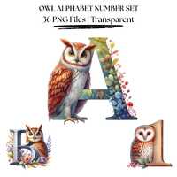 Woodland Owl Alphabet and Numbers Clipart | Watercolor ABC PNG Set (Digital Download)