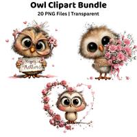 Owl Clipart Bundle PNG | Floral Cute Owl Illustration Set | Love Bird Art for Gifts, Stickers, Subli
