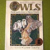 Australian Owls Frogmouths & Nightjars By Jill Morris And Lynne Tracey - 1994 - Pre-Loved Vintag