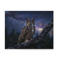 Celestial Owl Night Sky Puzzle 300 500 1000 Piece | Mystical Starry Jigsaw