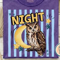 Night Owl Funny Animal Pun PNG, Trendy Owl Lover Shirt Design, Summer Sublimation Graphic (Digital D