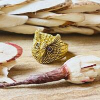 Boho Owl Ring| Animal Brass Ring | 18k Gold Plated Ring | Womens Statement Protection Ring