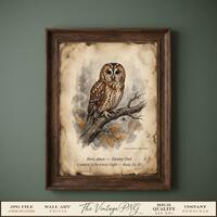 Vintage Owl Wall Art Print, Tawny Owl Forest Print, Dark Cottagecore Botanical Poster, Nature Study,