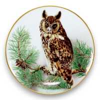 Franklin Porcelain Long-Eared Owl Richard Bibby 9" Bird Plate Vintage 1984