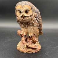 1990 Western Spotted Owl by Andrea