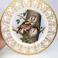 Vintage 1981 Beautiful "BOREAL OWL" Plate from Edward Marshall Boehm Owl Plate Collection 