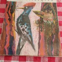 Vintage hardcover book The Owl and the Woodpecker
