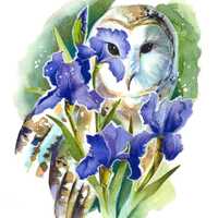 Magical Barn Owl 8x10 Inch Original Watercolor Fine Art Print