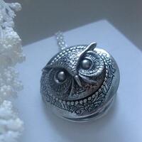Owl Locket - Jewelry - Owl Necklace - Silver Locket - Photo Locket - Custom Length
