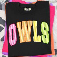 Owls PNG, Colorful Striped Owls Mascot PNG, Varsity School Spirit Game Day Shirt Design, Sublimation