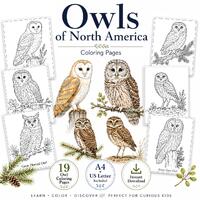 Owls of North America Coloring Pages, 19 Printable Owl Coloring Sheets, Kids Bird Activity, Homescho