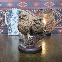 Little Owl Figurine Andy Pearce Hand Painted Wildlife Sculpture Eaglemoss 2002 Country Bird Collecti