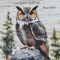 Owl fabric panel, wisdom quote squares, various sized cotton