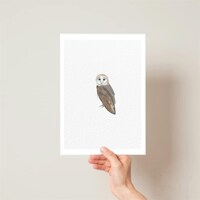 Barn Owl Print - Illustration