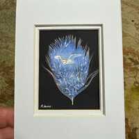 Barn Owl  painted feather. Handmade. Owl  lovers. gift.