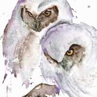 Two owls watercolor Watercolor Art Print &ndash; Owl Collection. Moody Wildlife Nocturnal Birds