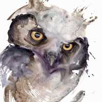 Abstract Owl Watercolor Art Print &ndash; Owl Collection. Moody Wildlife Nocturnal Birds