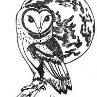 Owl art, ink drawing, physical art, Not a Print, Original art, animal art, ink art, moon, full moon,
