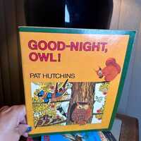 Good-Night, Owl! from 1989 by Pat Hutchins