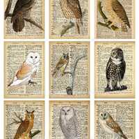 Owl Wisdom ATC Cards: Vintage Dictionary Page Collage (Digital Download)