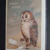 Owl greeting card 2014