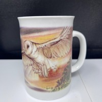 Barn Owl Mug Canadian Geographic Ceramic Barn Owl Flying Owl Baby Owls Mug