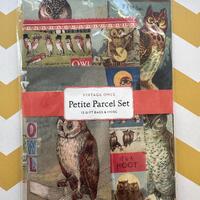 Cavallini & Co Vintage Inspired Petite Parcel Owl Gifting Paper Set, Gift Bags, Embellishments,
