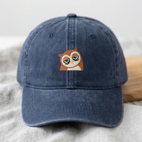 Custom Name Sleepy Grumpy Tired Owl Embroidered Hat, Funny Introvert Late Night Vibes, Washed Denim