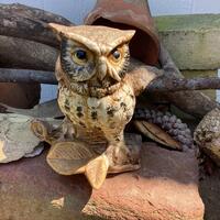 Vintage Homco Owl statue