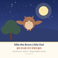 Ollie the Brave Little Owl Bilingual English Korean Bedtime Story | Printable Kids Picture Book PDF 