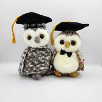 Ty Beanie Babies 'Smart and Smarter' the Owls (7.5 inch)
