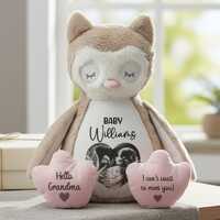 Personalised Owl Teddy Pregnancy Reveal New Baby Announcement Keepsake Gift
