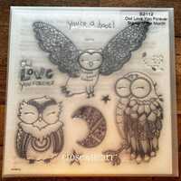 Close To My Heart CTMH Owl Love You Forever S2112 Retired Stamp Set