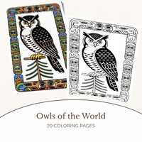 Owls Of The World Colouring Pages, 20-page Printable PDF, US Letter Digital Download