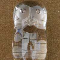 Clear glass contemporary owl paperweight