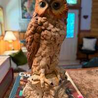 Vintage Barn Owl, Brown and Beige, The Leonardo Collection, Fine Porcelain