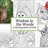 Owl Coloring Book | 20 Pages for Kids and Adults (Digital Download)