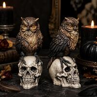 Dark Halloween Owl Skull Silicone Mold for 3D Scented Candle, Epoxy Resin,Diffuser Stone,Plaster Cra