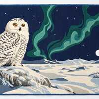 Snowy Owl Rug, Northern Lights Area Rug, Winter Night Sky Carpet, Cosmic Nursery Decor, Hand Tufted 