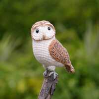 Crochet Barn Owl, Handmade Realistic Owl Plush, Woodland Animal Decor, Bird Lover Gift, Amigurumi Ow