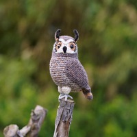 Crochet Great Horned Owl, Handmade Realistic Owl Plush, Woodland Animal Decor, Bird Lover Gift, Amig