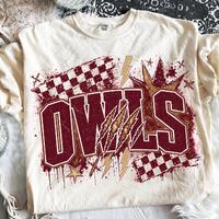 Owls PNG, Owls Mascot PNG, Sports Mascot PNG, Varsity School Spirit Game Day Shirt Design, School Te