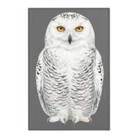 Snowy Owl Illustration Area Rug | Wildlife, Gray Background