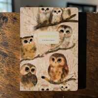 Bruno Visconti Owlets Notebook, Owl & Baby Owl Journal, Woodland Bird A5 Lined Notebook, Nature