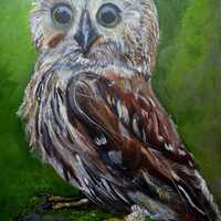 Hand-Painted Original Owl