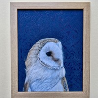 Framed hand embellished barn owl giclee print