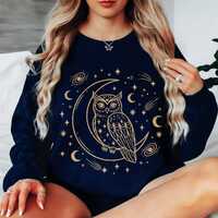Owl In The Moon Sweatshirt, Celestial Owl Sweatshirt, Moon Owl Pullover, Whimsigoth Bird Clothing, U