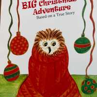 Rocky the owl, Children's books, Rocky's Big Adventure, Christmas books, gifts for children