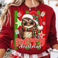 Merry Christmas Owl PNG, Retro Christmas Owl Star Glasses, Red Green Holiday Sublimation PNG, Festiv